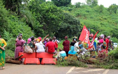 De 40 à 50 000 clandestins vivraient à Mayotte