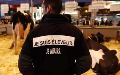 Intermarché visé par une enquête de Bruxelles pour son soutien aux éleveurs