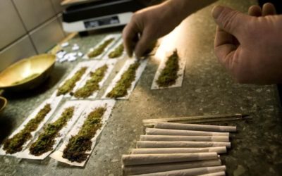 La légalisation du cannabis peut faire augmenter la consommation