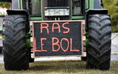 Agriculteurs en colère : les éleveurs promettent un septembre chaud, très chaud