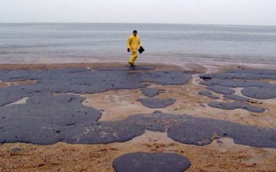 Le gouvernement rétropédale sur le préjudice écologique